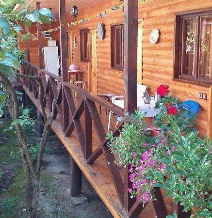 Guest House Nana Гагра Экстерьер фото