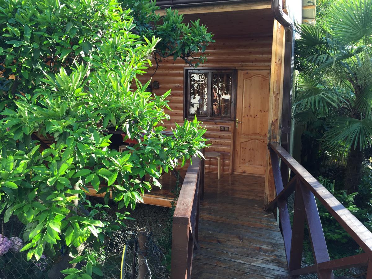 Guest House Nana Гагра Экстерьер фото