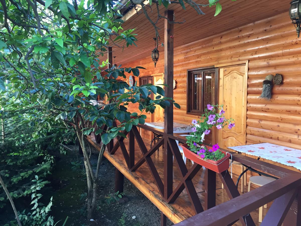 Guest House Nana Гагра Экстерьер фото