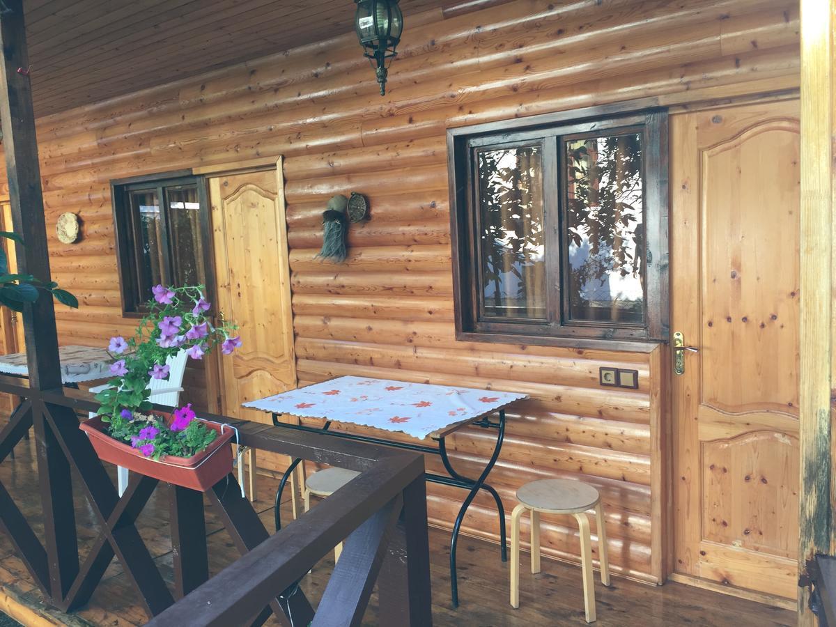 Guest House Nana Гагра Экстерьер фото