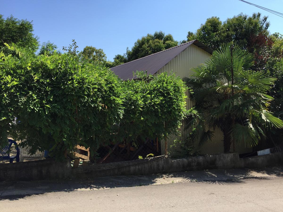 Guest House Nana Гагра Экстерьер фото